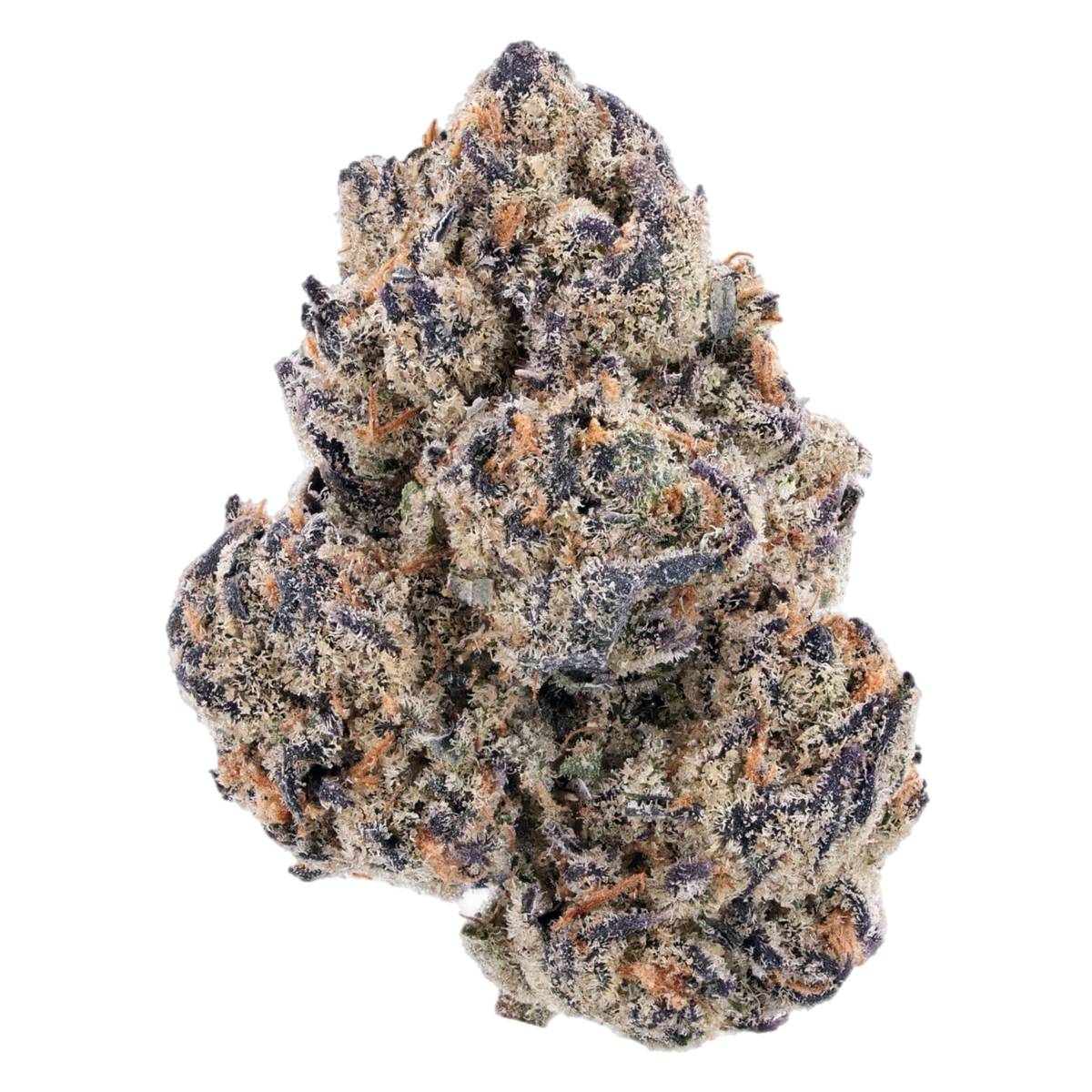 Apple Fritter