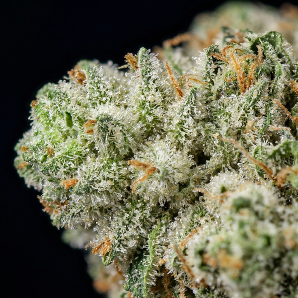 Divine Banana