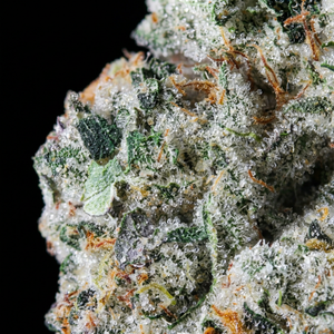 Jet Fuel Gelato