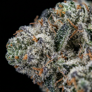 Lemon Cherry Gelato