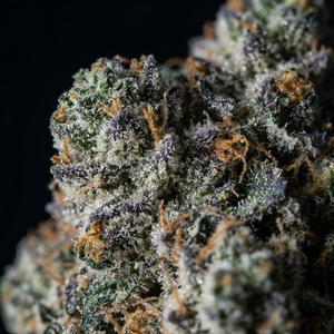 Glazed Apple THCa
