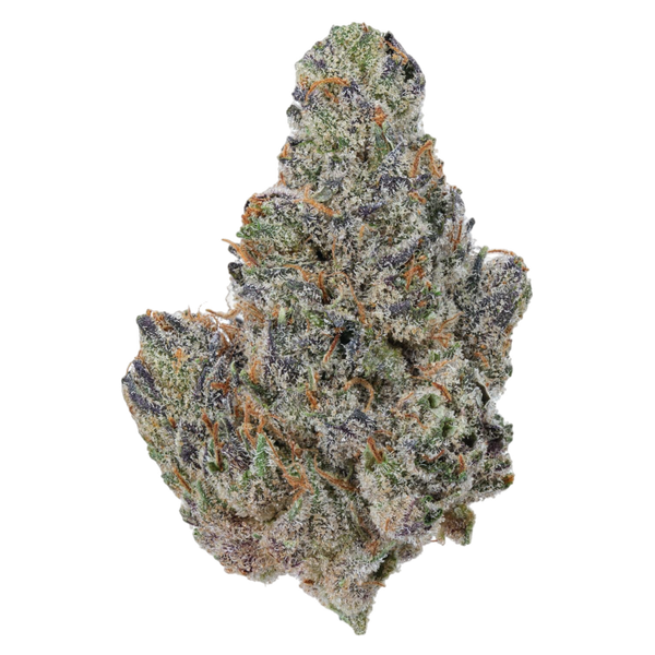 Jelly Truffle