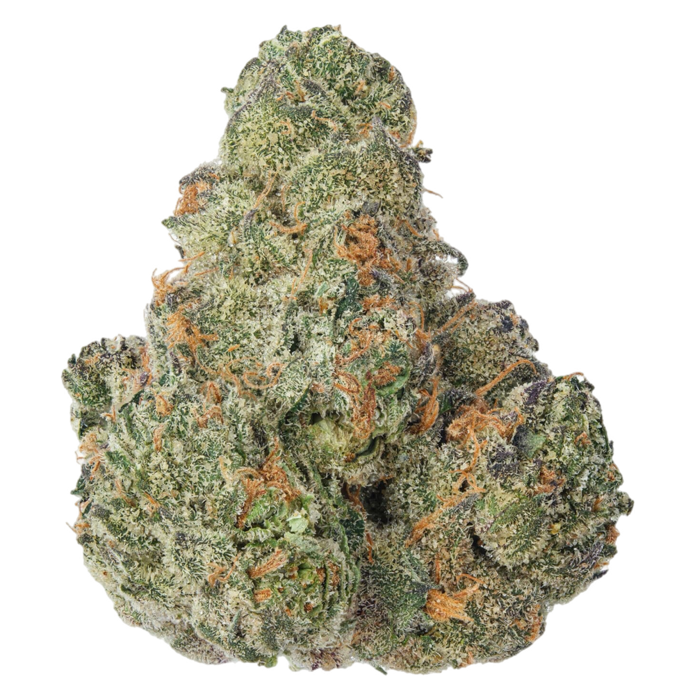 A close-up image of a cannabis bud with a snow-like appearance due to its white trichomes.