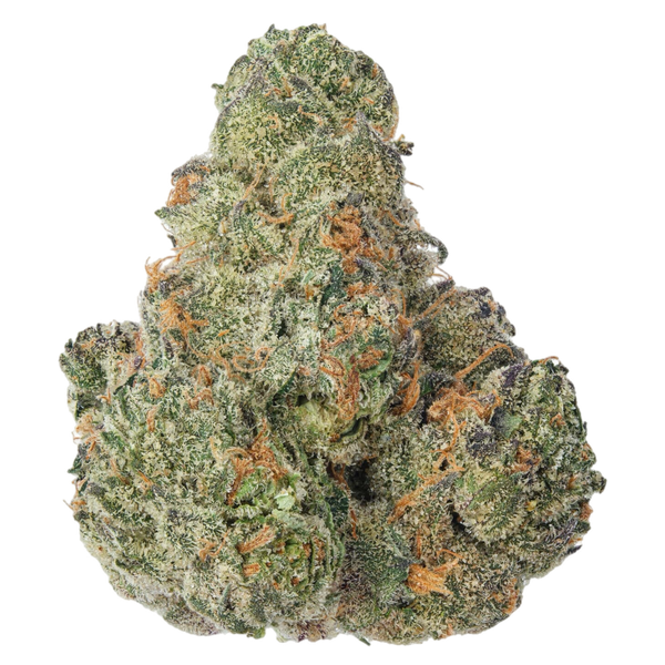 A close-up image of a cannabis bud with a snow-like appearance due to its white trichomes.